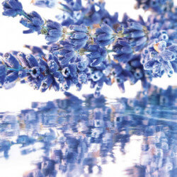 Mon Guerlain - Coffret Fête Des Mères 2025 (4)