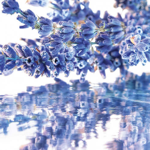 Mon Guerlain - Coffret Fête Des Mères 2025 4