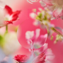 CHANCE EAU TENDRE (6)