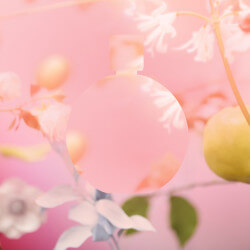 CHANCE EAU TENDRE (2)