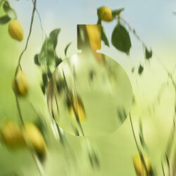 CHANCE EAU FRAÎCHE (3)