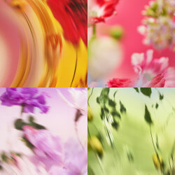 CHANCE EAU FRAÎCHE (4)