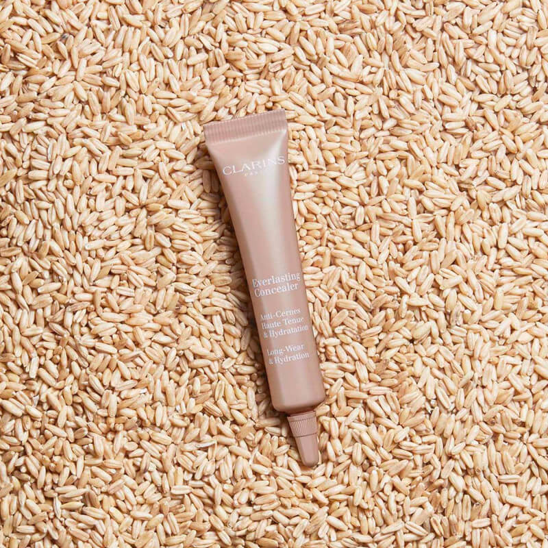 Everlasting Concealer Anti-cernes Haute Tenue & Hydratation 2