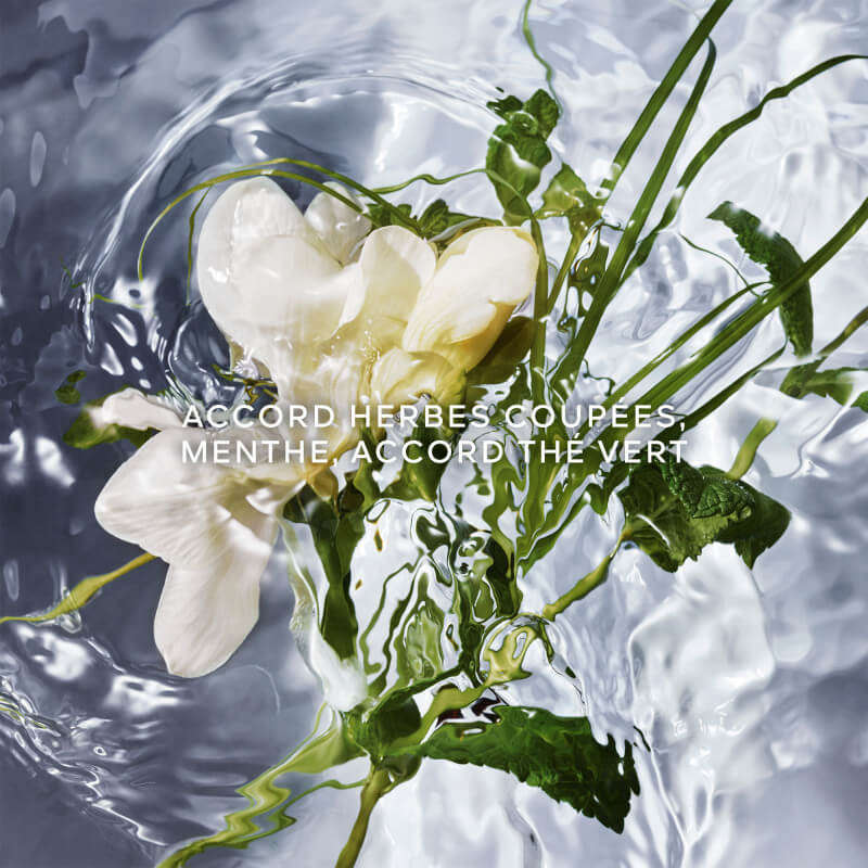Aqua Allegoria Herba Fresca Eau de toilette Rechargeable 2
