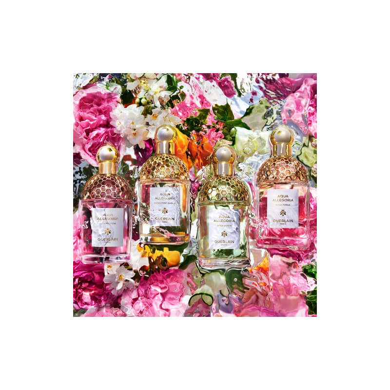 Aqua Allegoria Herba Fresca Eau de toilette Rechargeable 6