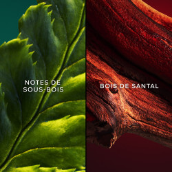 L'Initial Eau De Parfum (2)