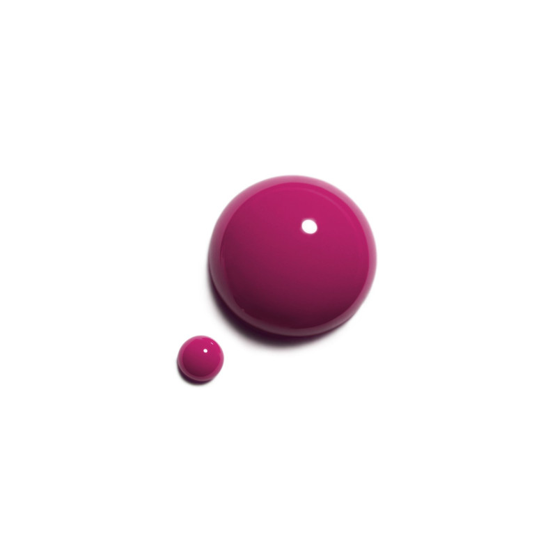 LE VERNIS 6